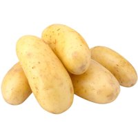 Potato Empress Samen von IvanSeeds