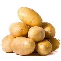 Kartoffeln Ilona Samen von IvanSeeds