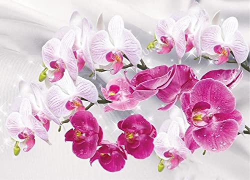 Ivpss 5d DIY Diamant Malerei Orchidee Bild Full Croareround Diamant Mosaik Harz Stickerei Crafts Home Decor Geschenkset 40x60cm NoFramed von Ivpss