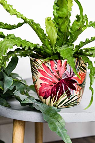 Ivyline Blumentopf, Keramik, Cremefarben/Pink/Grün, 12 cm von Ivyline