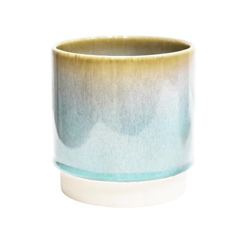 Ivyline Pflanzgefäß, Steingut, Aqua, 14 x 13,5 cm von Ivyline