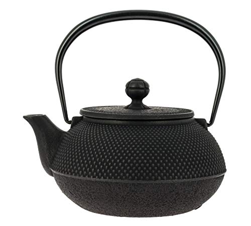 Iwachu Japanische Gusseisen Teekanne mit Filter und Traditionelles Design 900 ml schwarz von Iwachu