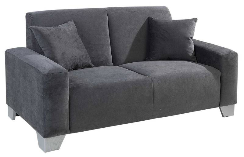 Iwaniccy 2-Sitzer JULIA, Grau, Mikrofaser, inkl. 2 Kissen, B 163 x H 81 x T 82 cm von Iwaniccy