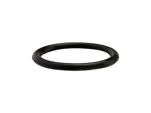 Dichtung Astina Spritzpistolen Iwata Neo Trigger TRN1, TRN2 von Iwata