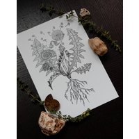 Taraxacum Officinale Druck | Illustrationsdruck Zauberhaftes Dekor Hexe Kunstdruck Herbst Grüne Hecke Hexerei von IzabelasEnchantments