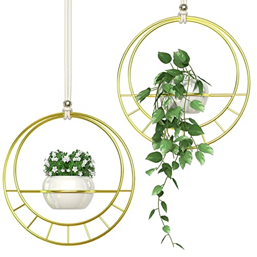 Jackcube MK625A Design Gold hängende Fenster-Pflanzgefäße für Zimmerpflanzen, 2er-Set, Deckenwand, Fensterbank, Pflanzenhänger mit weißen Keramik-Sukkulenten, Blumentöpfen, 2 Stück von J JACKCUBE DESIGN