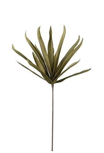 J-Line Blum LÄNGE BLUMENBLÄTTER Eva GRÜN von J-Line
