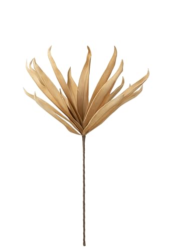 J-Line Blum LÄNGE BLUMENBLÄTTER Eva MAÏS von J-Line