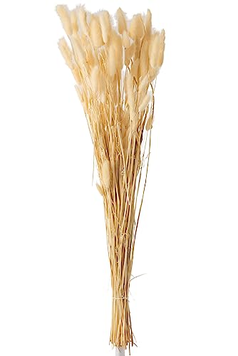 J-Line STRAUß SAMTGRAS GETROCKNET BEIGE Large J-Line STRAUß SAMTGRAS GETROCKNET BEIGE Large von J-Line