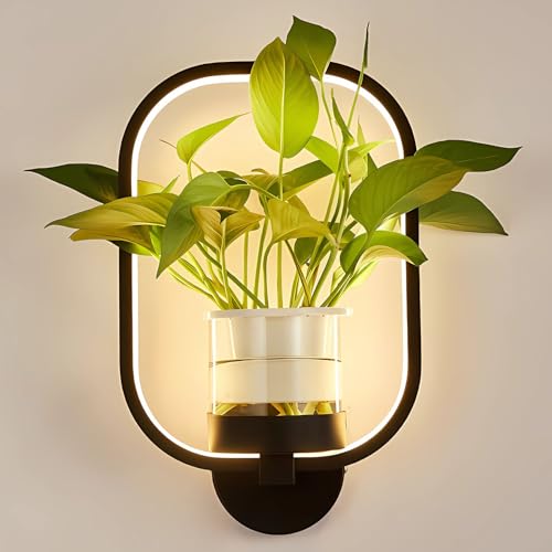 J.SUNUN Moderne LED Wandleuchte Innen Schwarz Ring Wandlampe Warmes Licht 3000K Mit Blumentopf Wandleuchten Für Wohnzimmer Schlafzimmer Flur Balkon Treppenhaus Beleuchtung Leuchten von J.SUNUN