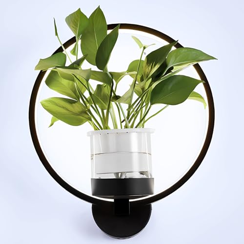 J.SUNUN Moderne LED Wandleuchte Innen Schwarz Ring Wandlampe Weißes Licht 6000K Mit Blumentopf Wandleuchten Für Wohnzimmer Schlafzimmer Flur Balkon Treppenhaus Beleuchtung Leuchten von J.SUNUN
