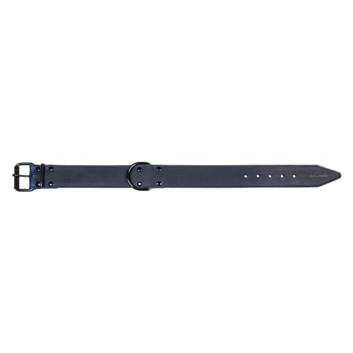 JACK AND VANILLA, Hundehalsband, Black Label-Modell, Blaue Farbe, Größe 50 mm x 75 cm JACK AND VANILLA, Hundehalsband, Black Label-Modell, Blaue Farbe, Größe 50 mm x 75 cm von JACK AND VANILLA