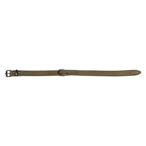 JACK AND VANILLA, Hundehalsband, Black Label-Modell, grüne Farbe, Größe 18 mm x 45 cm JACK AND VANILLA, Hundehalsband, Black Label-Modell, grüne Farbe, Größe 18 mm x 45 cm von JACK AND VANILLA