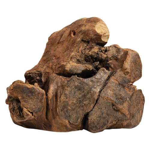 JACK AND VANILLA, Kauspielzeug für Hunde aus natürlichem Holz, langlebig und gesund, reduziert Zahnstein, ideal für mittelgroße Hunde, 100% natürlich, 201–350 g, Baumwurzel, All-Nature-Modell JACK AND VANILLA, Kauspielzeug für Hunde aus natürlichem Holz, langlebig und gesund, reduziert Zahnstein, ideal für mittelgroße Hunde, 100% natürlich, 201–350 g, Baumwurzel, All-Nature-Modell von JACK AND VANILLA