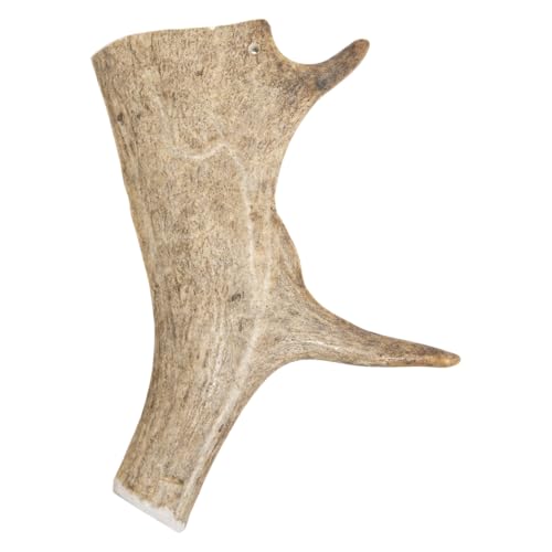 JACK AND VANILLA, Kauspielzeug aus natürlichem Holz für Hunde, langlebig und gesund, reduziert Zahnstein, ideal für mittelgroße Hunde, 100% natürlich, 75–150 g, Wildleder, Modell „All Nature“. JACK AND VANILLA, Kauspielzeug aus natürlichem Holz für Hunde, langlebig und gesund, reduziert Zahnstein, ideal für mittelgroße Hunde, 100% natürlich, 75–150 g, Wildleder, Modell „All Nature“. von JACK AND VANILLA