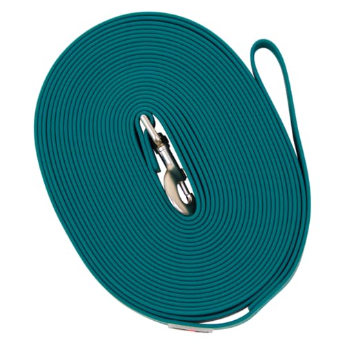 JACK AND VANILLA JV Sport Expd Track Leiband setzt Karabijnhaak Blauw-M-Thin JACK AND VANILLA JV Sport Expd Track Leiband setzt Karabijnhaak Blauw-M-Thin von JACK AND VANILLA