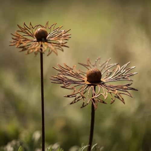 JACKANNA 2er Set Rost Deko für Garten Cortenstahl Gartenstecker Metall Blume Mohn Teleopea Gartendeko Rost Rankstab Beetstecker Topfstecker Naturrost (C) von JACKANNA