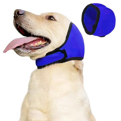 JACKANNA Gehörschutz Hund, Verstellbar Ohrenschutz Schwimmen zum Schwimmen, Hundecap,Ohrenschutz Hund für kleine, mittelgroße (Blau, L Pier Umfang 45-60 empfohlenes Gewicht 60-85 Jin) von JACKANNA