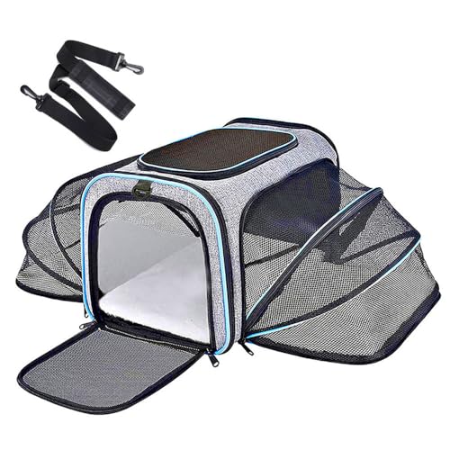 Katzentransportbox Transportbox Katze Groß Katzen Transport Tasche Erweiterbar Katzenkorb Transport für 2 Katzen Hund Welpen, Flugzeug Faltbar Hundetransportbox (Blau, （M） 43CM*28CM*28CM) von JACKANNA