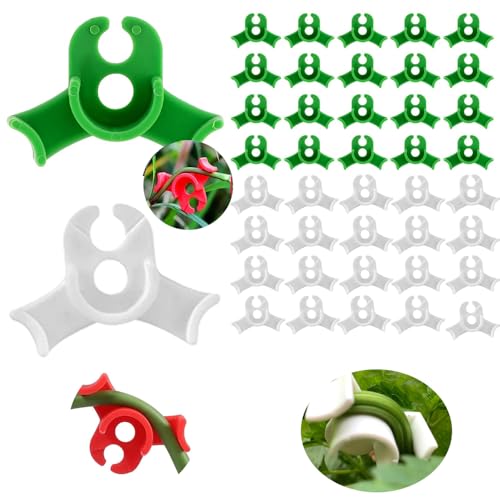 Plant Training Clips, Kunststoff-Pflanzenclips,Lst Clips For Cannabis mit niedrigem Stängel, 90-Grad-Winkel, Pflanzenclips Low Stress Training Clips for Cannabis Plant, 40 Stück (1, Grün + Weiß) von JACKANNA