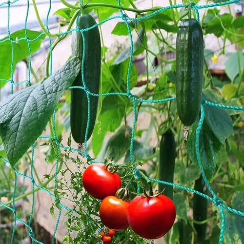 Premium Ranknetz 2,5x2m für Gurken & Tomaten – Robustes Rankgitter mit 10 Clips, 20 Pflanzenbindern + 20m Band – UV-beständig, Ideal für Gewächshaus, Balkon & Hochbeet (Grün, 1.8m*3.6m) von JACKANNA