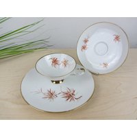 Ak Kaiser Sammeltasse Sammelgedeck Vintage, Gräser Orange, 50Er Jahre Kaffeegedeck Für Die Kaffeetafel, Porzellan Diy Projekt, Geschenk Ak Kaiser Sammeltasse Sammelgedeck Vintage, Gräser Orange, 50Er Jahre Kaffeegedeck Für Die Kaffeetafel, Porzellan Diy Projekt, Geschenk von JAHRZEHNTE