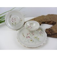 Gräser Dekor Kuchenteller + Untertasse Von Sammelgedeck, Rheinpfalz Porzellan Für Sammler, Teller Kaffeegedeck, Landhaus Küchenporzellan Gräser Dekor Kuchenteller + Untertasse Von Sammelgedeck, Rheinpfalz Porzellan Für Sammler, Teller Kaffeegedeck, Landhaus Küchenporzellan von JAHRZEHNTE