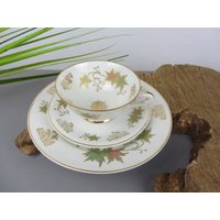 Vintage Sammeltasse Sammelgedeck, Aussteuer Kaffeegedeck Teegedeck, Festliche Kaffeetafel, Geschenk An Sammler, Nostalgie Kaffeetafel Vintage Sammeltasse Sammelgedeck, Aussteuer Kaffeegedeck Teegedeck, Festliche Kaffeetafel, Geschenk An Sammler, Nostalgie Kaffeetafel von JAHRZEHNTE