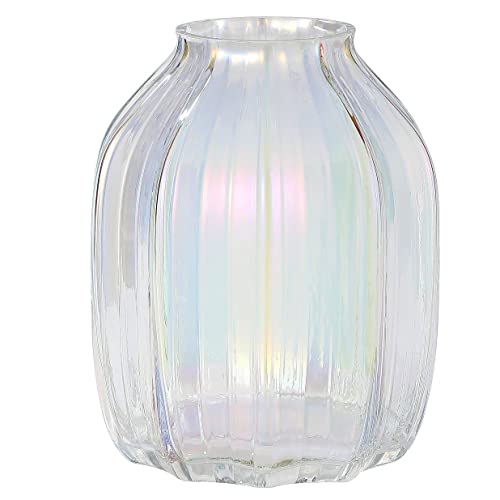 Große farbige Moderne Glasvase, glasklare Glasvase, 20 cm, für dekorative Heimbüro, Tafelaufsätze, Blumendekoration (farbig 20 cm) von JAKY-Global