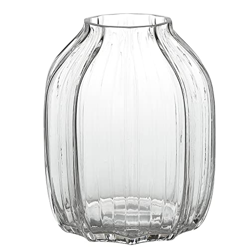 Große transparente Glasvase, gerippt, hoch, transparent, Blumenvase, 21 cm, dekorative Vasen für Zuhause, Tischdekoration, Blumendekoration und Bauernhaus (transparent, 21 cm) von JAKY-Global