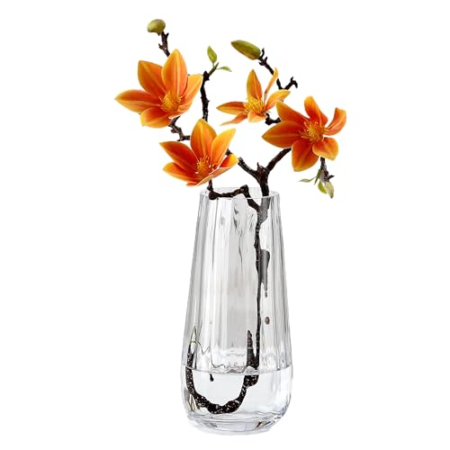 JAKY-Global Glas Vase Modern Groß, Konische Gerippte Blumenvase 25,0cm Hoch Glasvase Heimdekoration Tischdeko für Büro Wohnzimmer Hochzeiten Party Events(Klar) von JAKY-Global