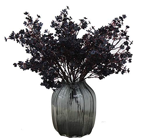 JAKY-Global Künstliche Blumen 12 Stück Getrocknete Unechte Seide Blumen Babysbreath Pflanze Dekoration für Hochzeit Sträuße Haus Garten Party Blumenschmuck (Schwarz) von JAKY-Global