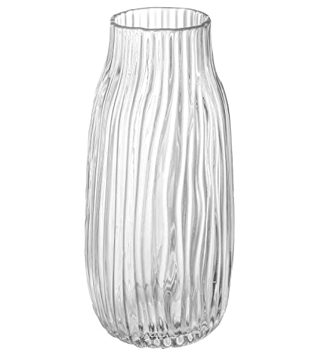 Transparente hohe Vase, große transparente Vasen für Blumen, H-31 cm, einfaches Streifen-Design für Heimbodendekoration, Bauernhaus-Dekoration, Tafelaufsatz, Couchtischdekorationen (transparent, 31 von JAKY-Global