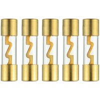 Jalleria - 60 a vergoldetes Glas agu Auto-Audiosicherung für den Stromschutz von Auto-/Auto-/Marine-Audio-Stereoverstärkern (5 Stück) von JALLERIA