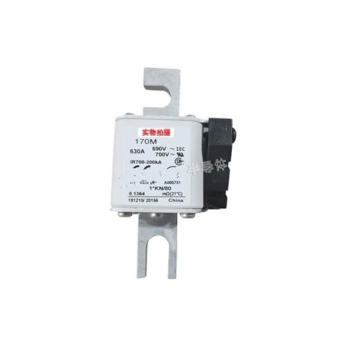 1 Stück 170M3170 170M3171 flinke Sicherung(170M3170) von JAMKWMNB