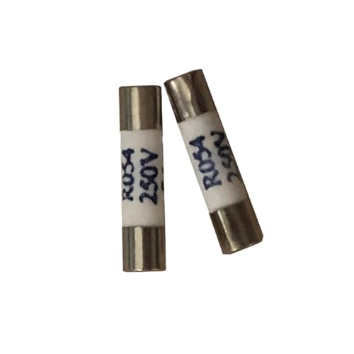 2PCS Zylinderdeckelsicherung R054 Sicherung 250V(12A) von JAMKWMNB