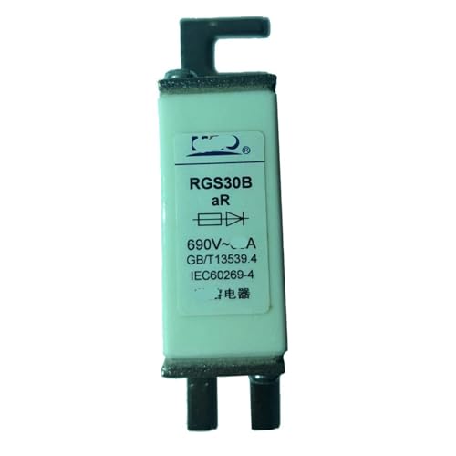 Quadratische Schnellsicherung RGS30B 10A-125A 690V(100A) von JAMKWMNB