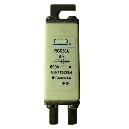 Quadratische flinke Sicherung RGS30A 25A- 200A 690V(90A) von JAMKWMNB