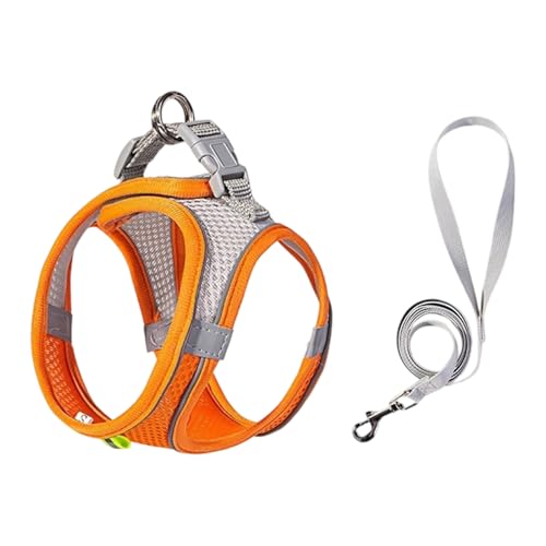 Atmungsaktives Katzengeschirr mit verstellbaren Riemen und Schnallen für kleine Haustiere, Hunde, Outdoor, bequemes Spazierengehen, bequemes Katzen-Geschirr von JAMNGHB