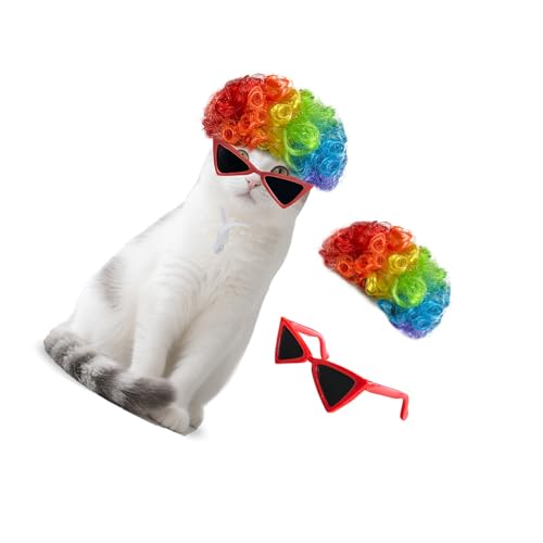 Haar-Haarteil für Hunde und Katzen, Cosplay, Halloween, Weihnachten, Geburtstag, Party, Kopfbedeckung, Hundehaarteil mit Brille von JAMNGHB