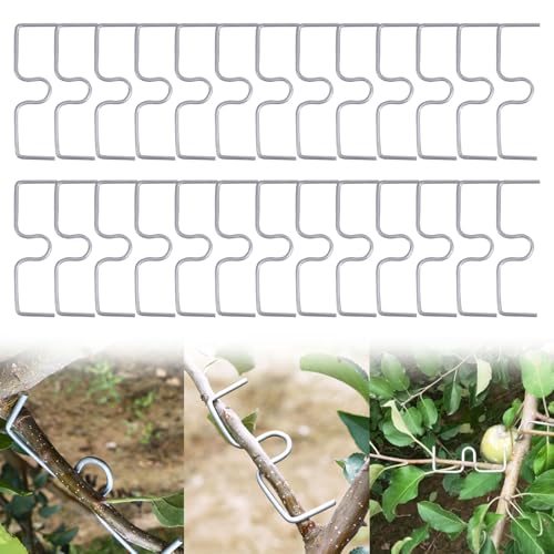 JAMSSOW 26 Stück 8cm Astspreizer für Obstbäume Metall,Spreizeraststütze für Obstbäume,Astzieher Halter für Obstzweige,Astklammern Metall für Gartenzweige,Zum Spreizen und Ebnen von Obstbaumzweigen von JAMSSOW