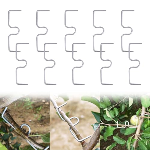 JAMSSOW 10 Stück 13cm Astspreizer für Obstbäume,Astzieher Metall für Gartenzweige,Pflanzenstütze Astspreizer,Spreizeraststütze für Obstbäume,Zum Spreizen und Ebnen von Obstbaumzweigen von JAMSSOW