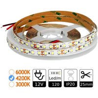 Jandei - 12V 4200K 120 led tira IP20 LEDs/Metro IP20 SMD2835 5m Spulen von JANDEI