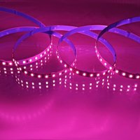 Jandei - Pink 120led/m pcb 8mm 12W/M IP20 5 Meter LEDs tir von JANDEI