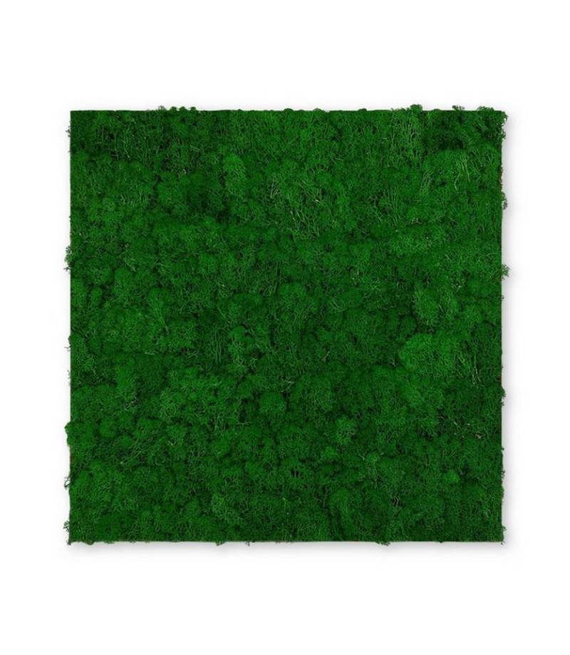 JANGAL 3D Wandpaneel Modular Wall Akustikpaneel, Die Holz- und Steinoberflächen sind aus Echtholz- und Echtsteinfurnier von JANGAL