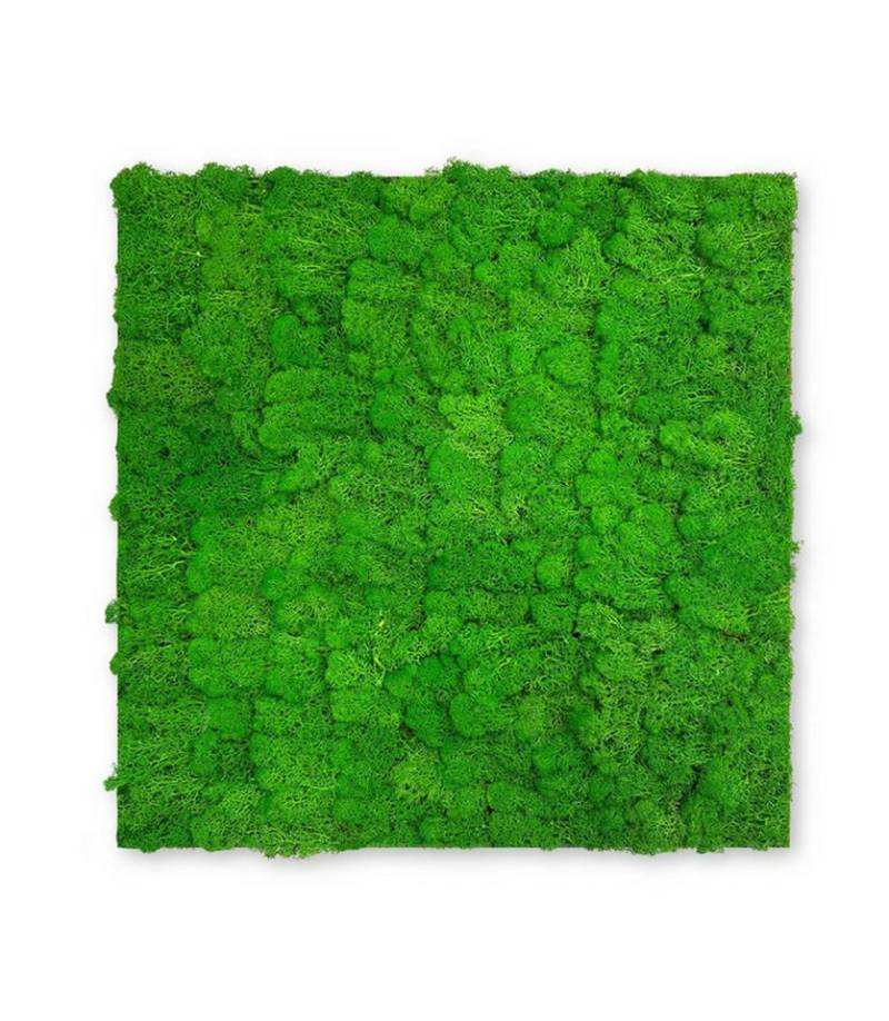JANGAL 3D Wandpaneel Modular Wall Akustikpaneel, Die Holz- und Steinoberflächen sind aus Echtholz- und Echtsteinfurnier von JANGAL