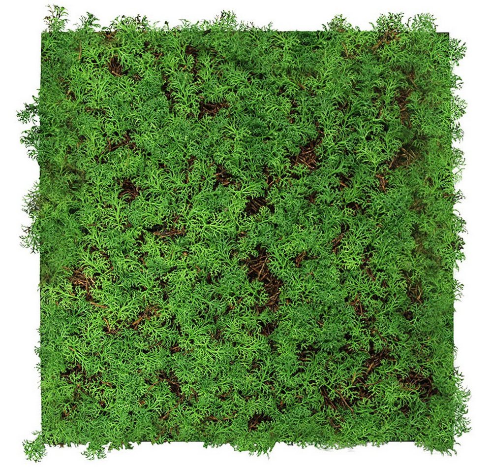 JANGAL 3D Wandpaneel Modular Wall Akustikpaneel, Die Holz- und Steinoberflächen sind aus Echtholz- und Echtsteinfurnier von JANGAL