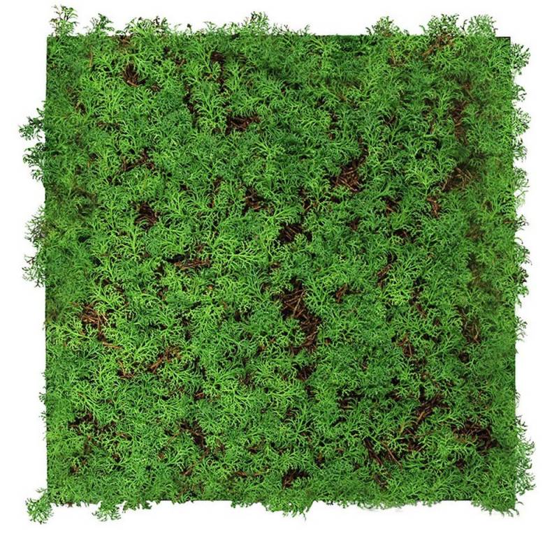 JANGAL 3D Wandpaneel Modular Wall Akustikpaneel, Die Holz- und Steinoberflächen sind aus Echtholz- und Echtsteinfurnier von JANGAL