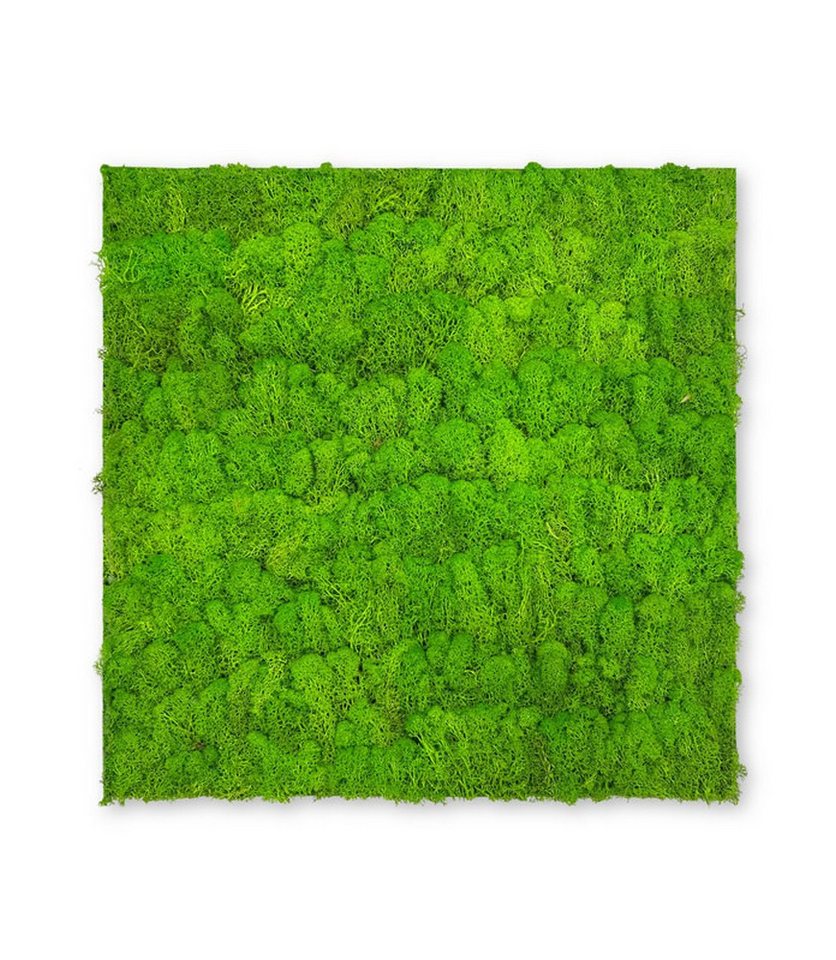JANGAL 3D Wandpaneel Modular Wall Akustikpaneel, Die Holz- und Steinoberflächen sind aus Echtholz- und Echtsteinfurnier von JANGAL