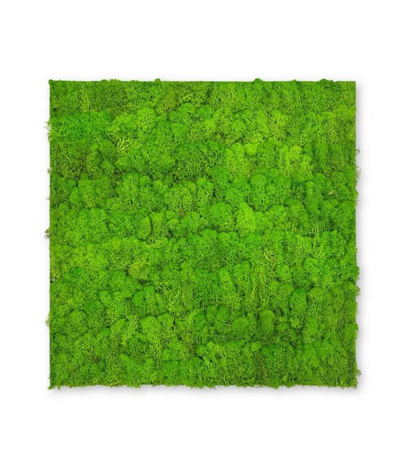 JANGAL 3D Wandpaneel Modular Wall Akustikpaneel, Die Holz- und Steinoberflächen sind aus Echtholz- und Echtsteinfurnier von JANGAL